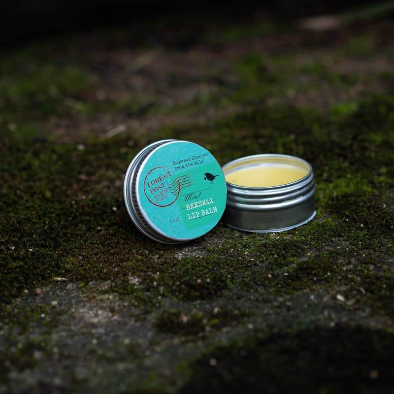Forest Post Mint Beeswax Lip Balm 10g