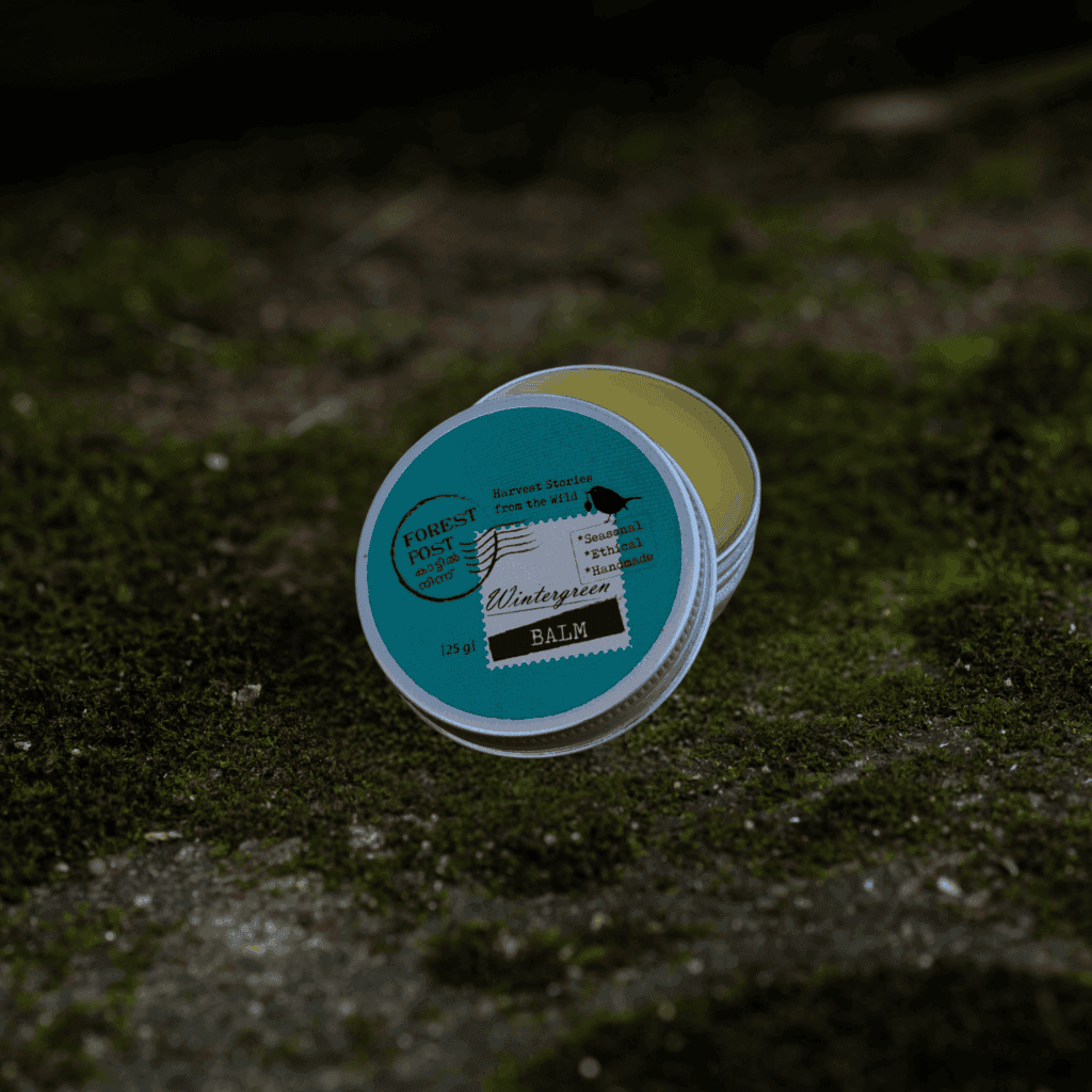 Forest Post Beeswax Wintergreen Pain Balm 25g