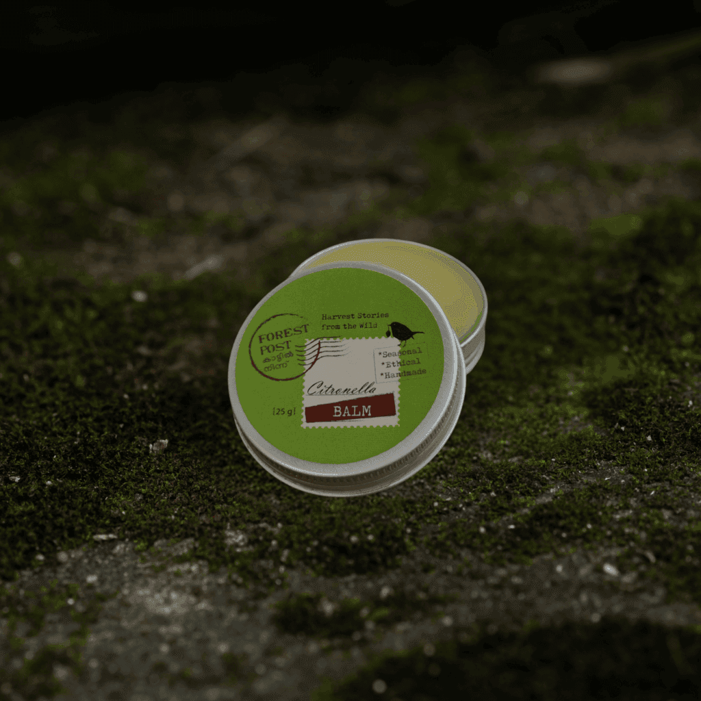Forest Post Beeswax Citronella Insect Repellent 25g