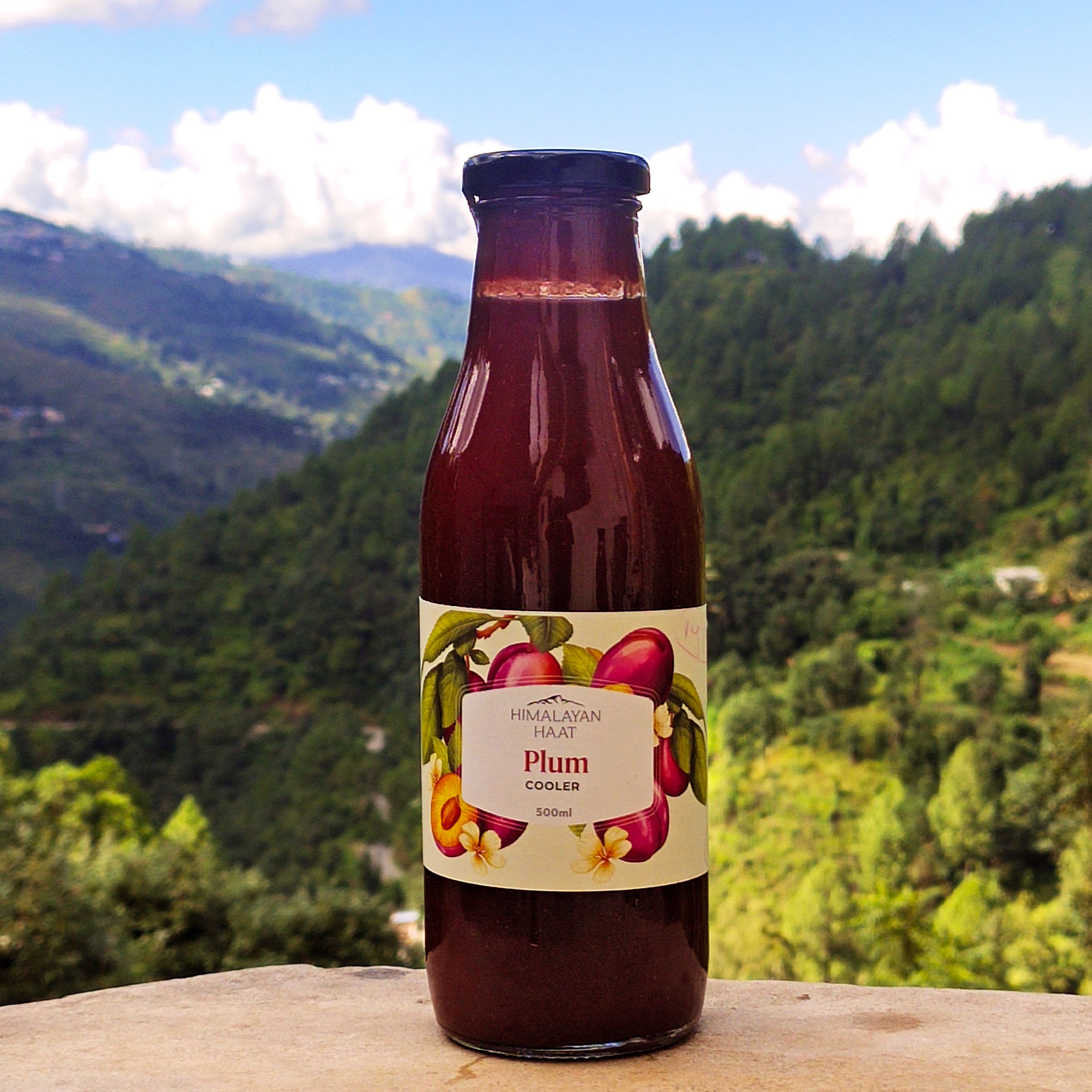 Himalayan Haat Plum Cooler 500ml