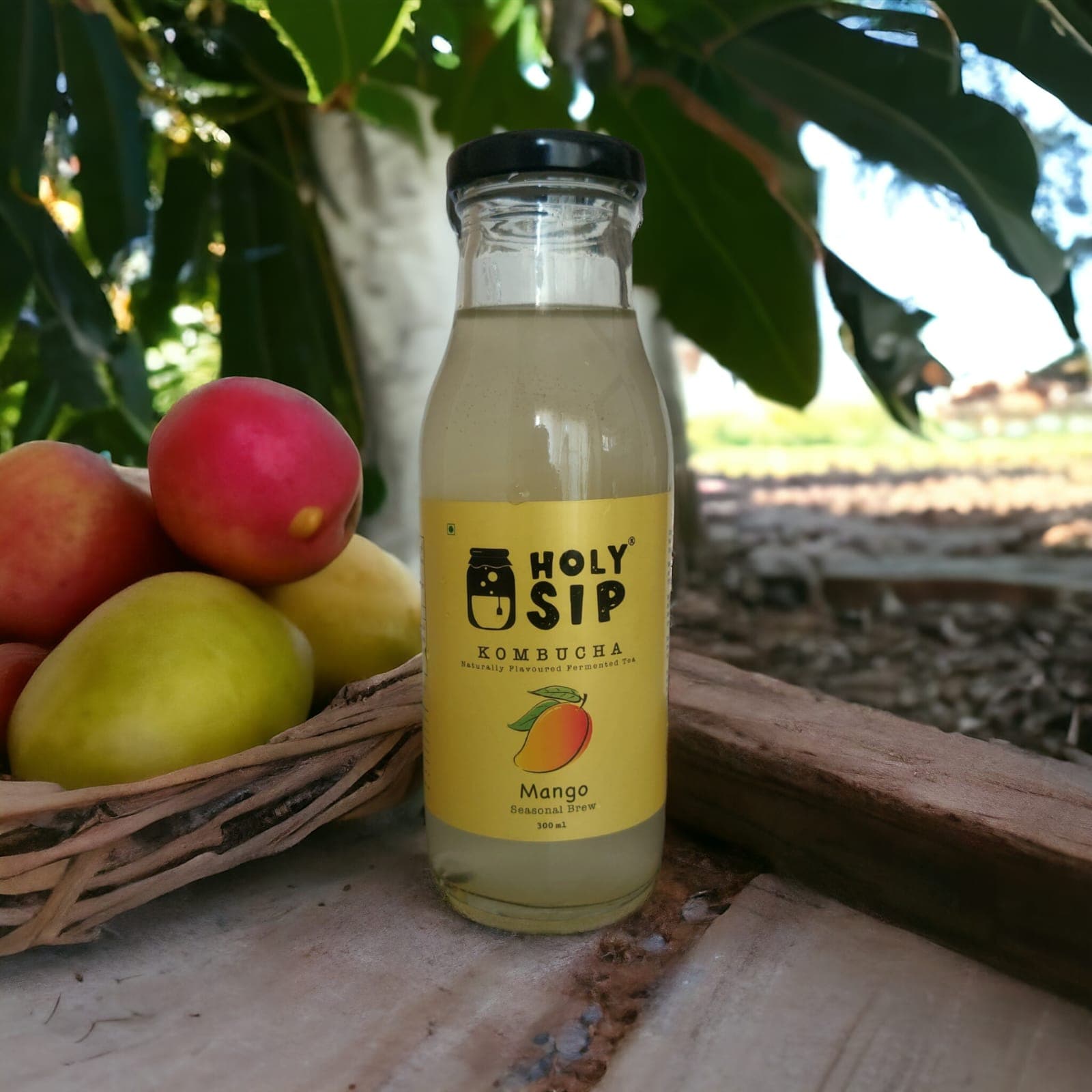 Holysip Kombucha Mango (Seasonal Brew)300ml