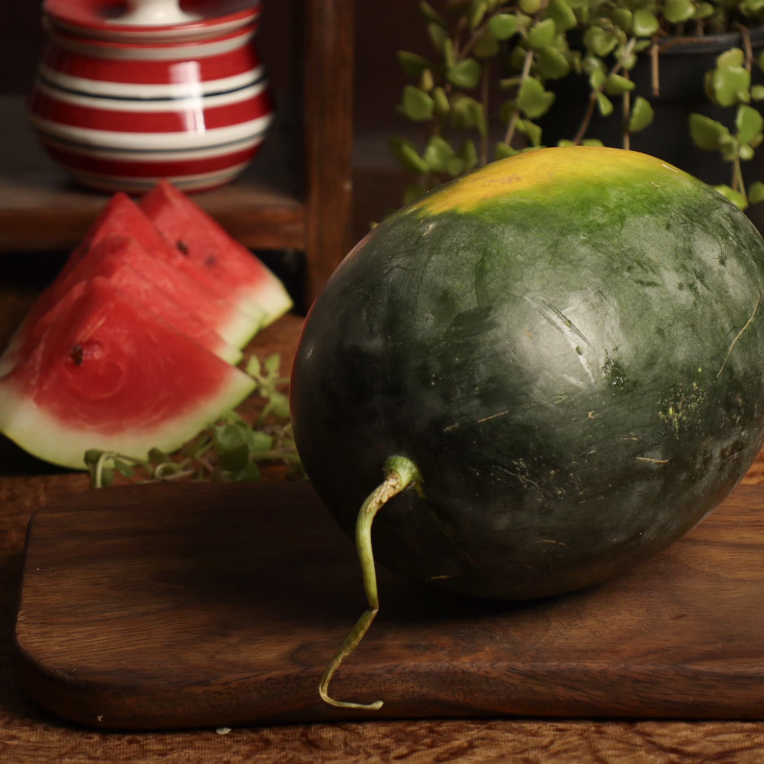 Organic Water Melon Kiran, Pcs(Approx Weight 1.8 To 2.5Kg)- 1pcs