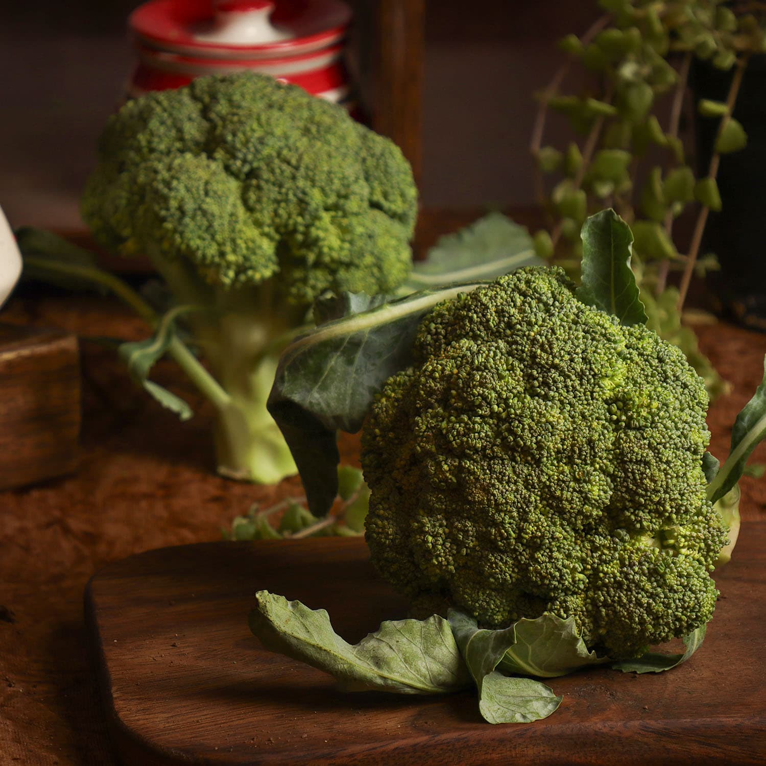 Organic Broccoli