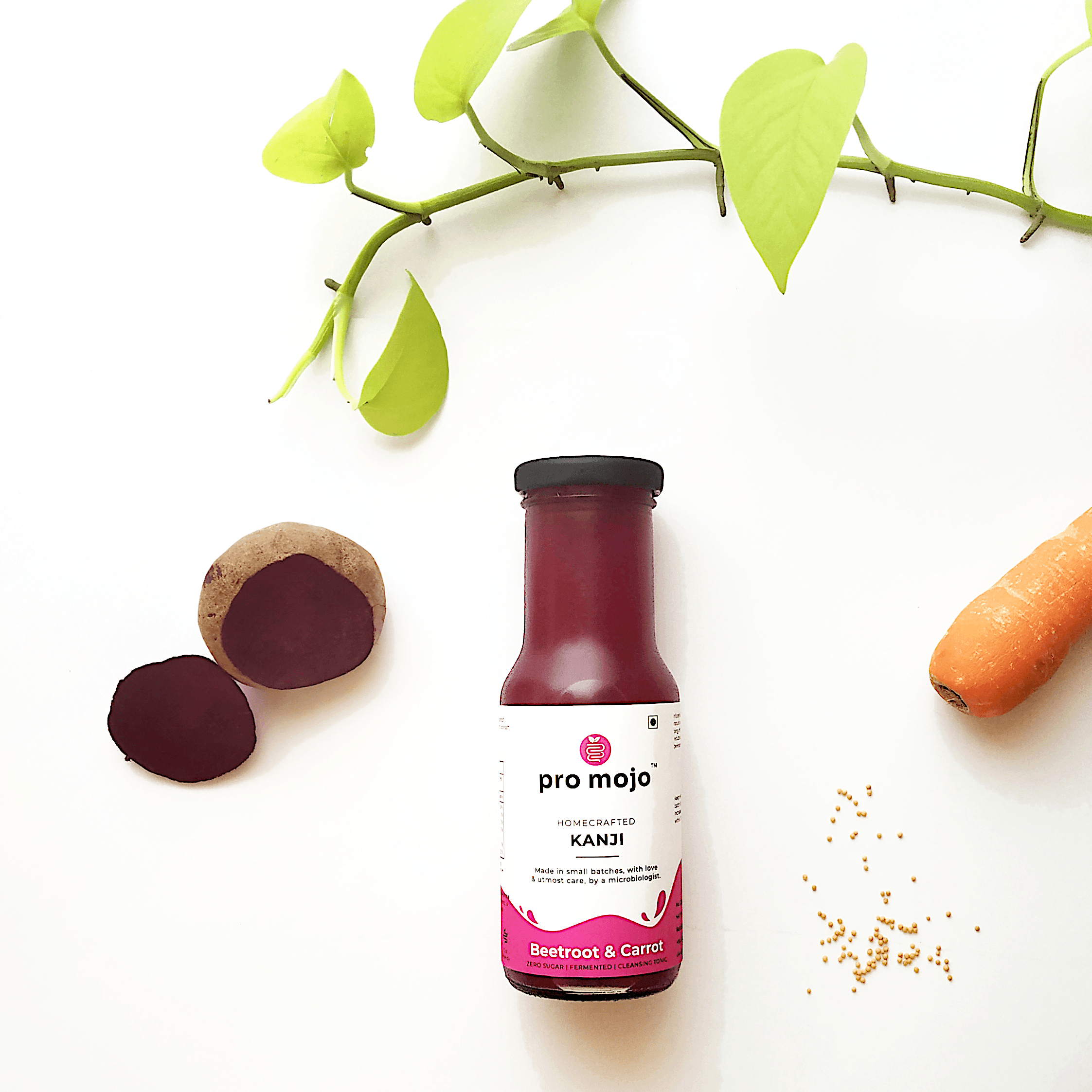 Pro Mojo Beetrrot Carrot Kanji 500ml
