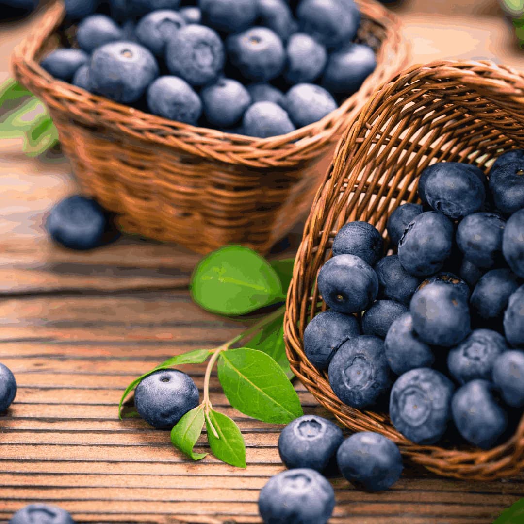 Organic Blueberry