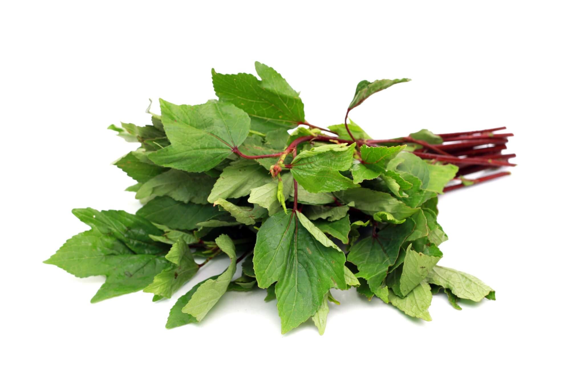 Organic Pundi Leaves