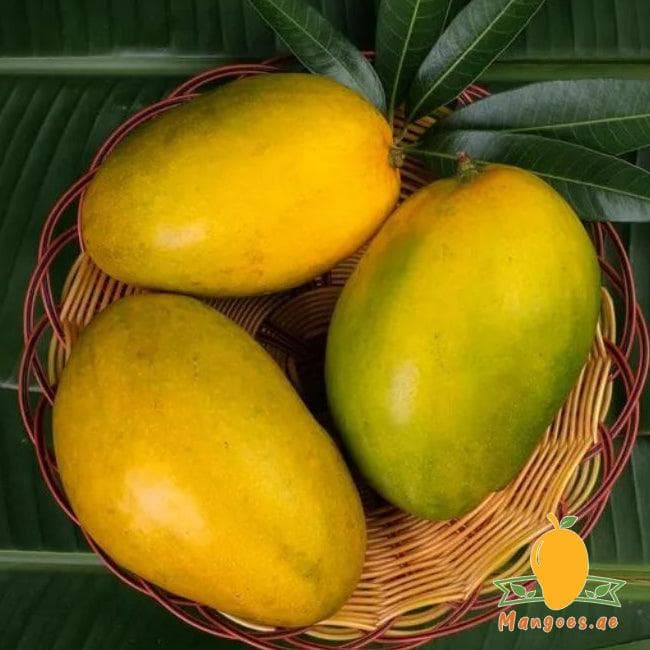 Organic Mango Imampasand