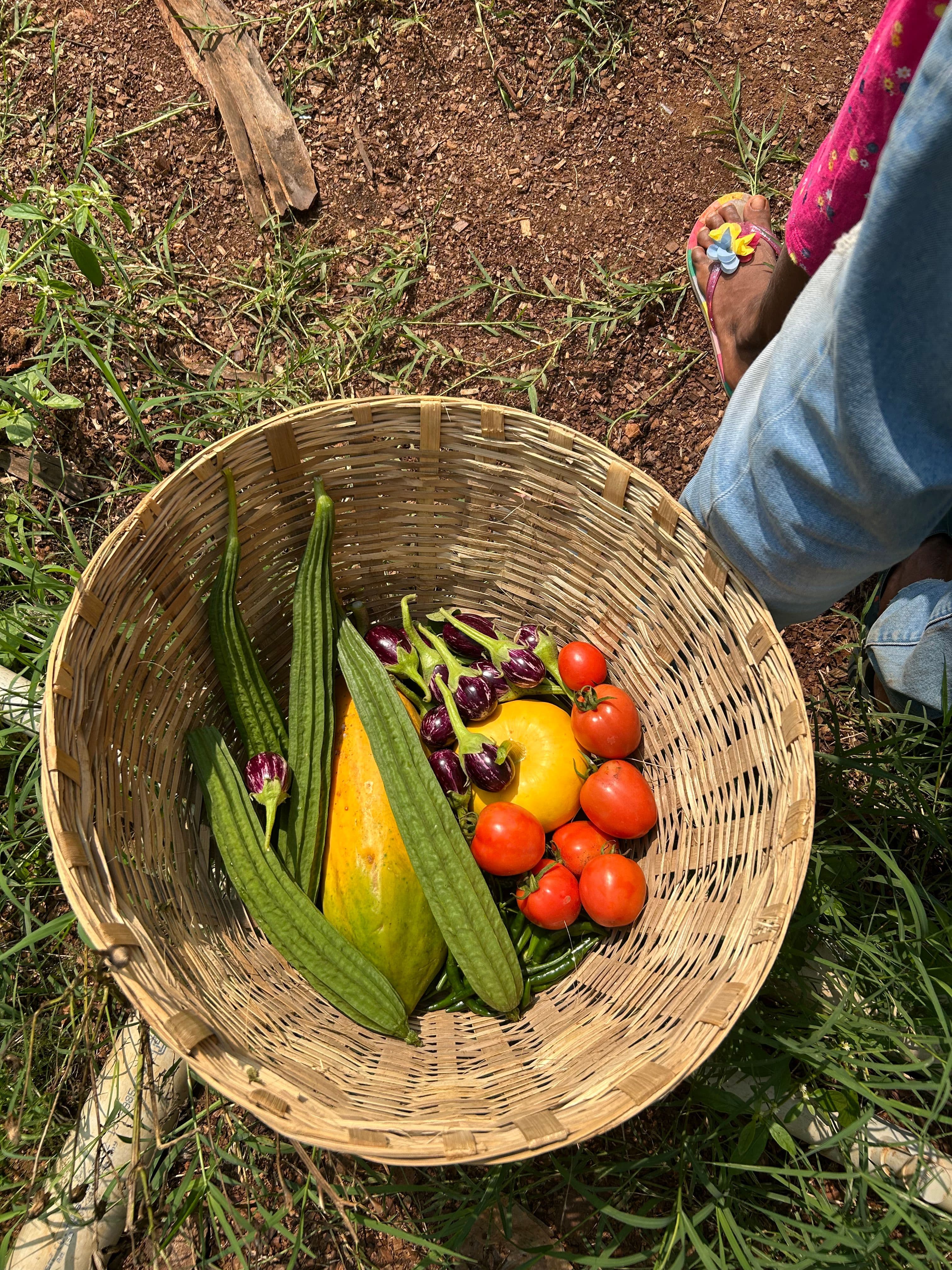 Farm Fresh Harvest 1