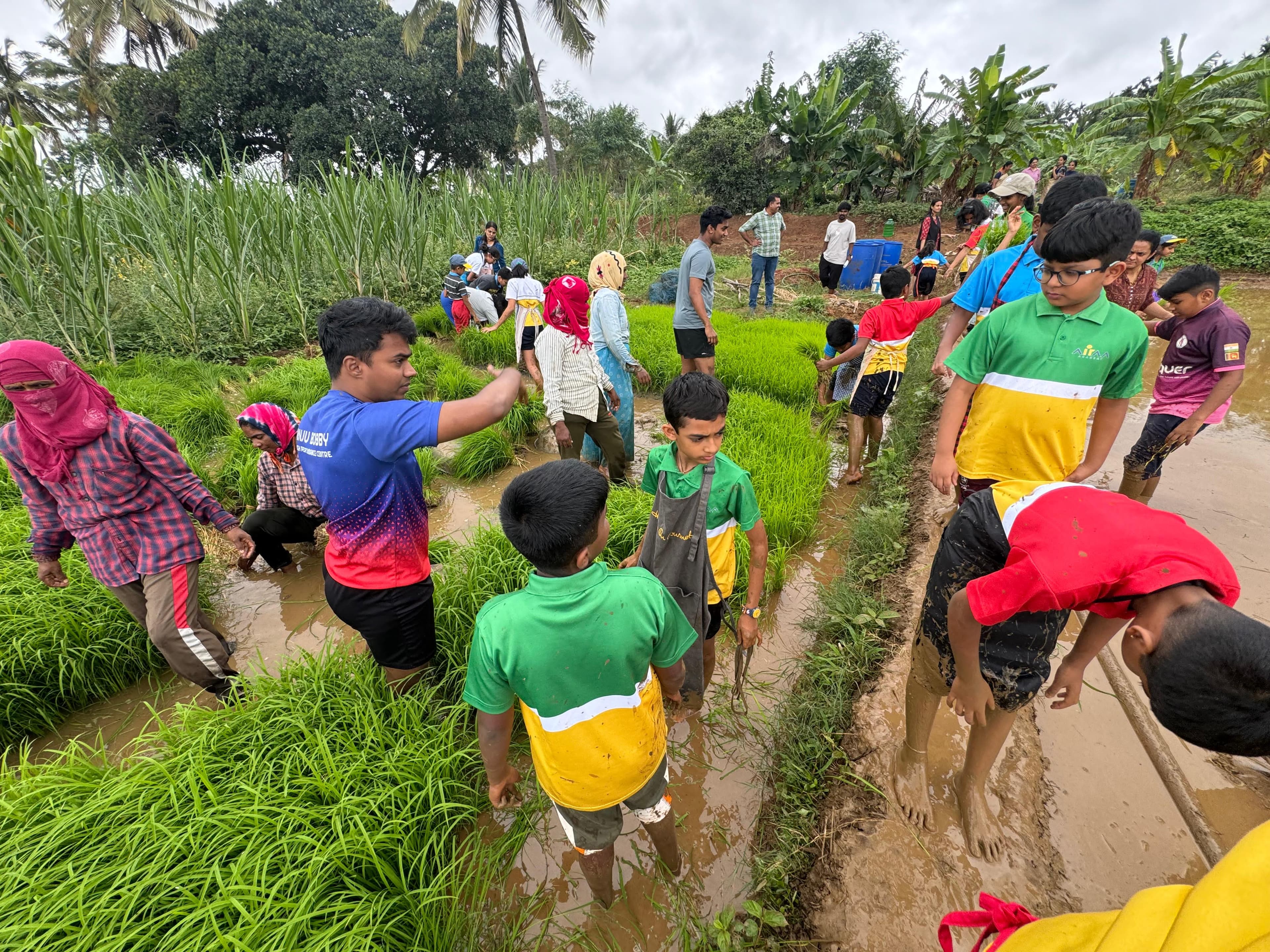 Farm Learning Experience 1
